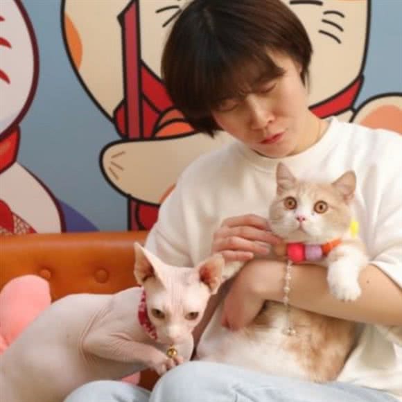 喵闲·猫咖·柴咖:秦皇岛市开发区