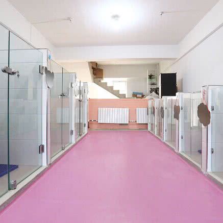 包子的宠物堡:沈阳市浑南区浑南新区附近