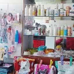 樊洼路宠物店:合肥市高新区