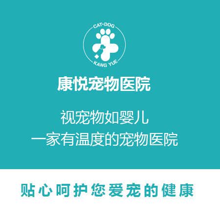 康悦宠物医院:合肥市高新区