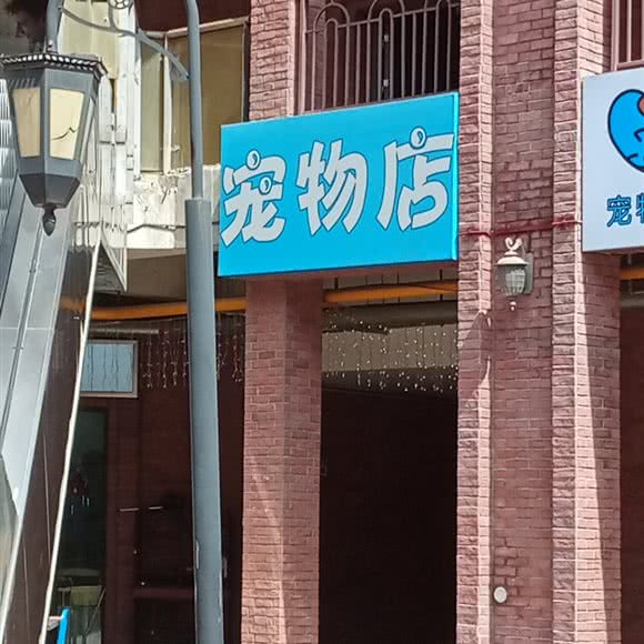 宠物店:合肥市新站区