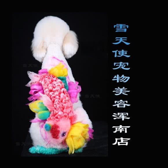 雪天使宠物美容浑南店:沈阳市浑南区浑南新区附近