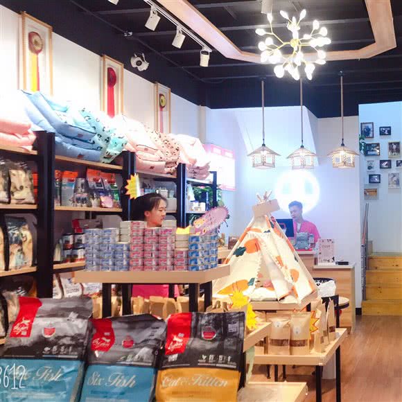 星宠狗狗医疗中心:合肥市经开区