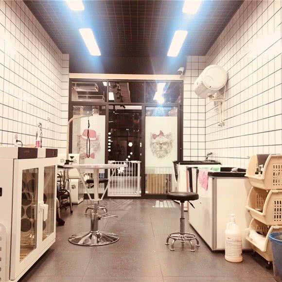 萌物辑宠物会所:合肥市经开区