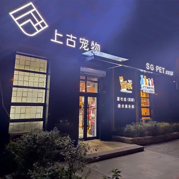 上古宠物:沈阳市浑南区浑南新区附近