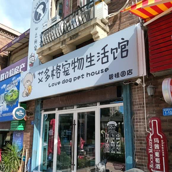 艾多格宠物狗生活馆:三明市梅列区