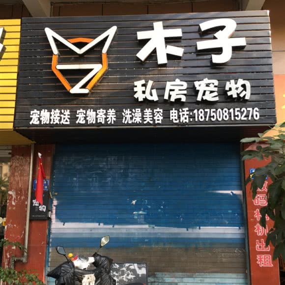 木子私房宠物:三明市梅列区