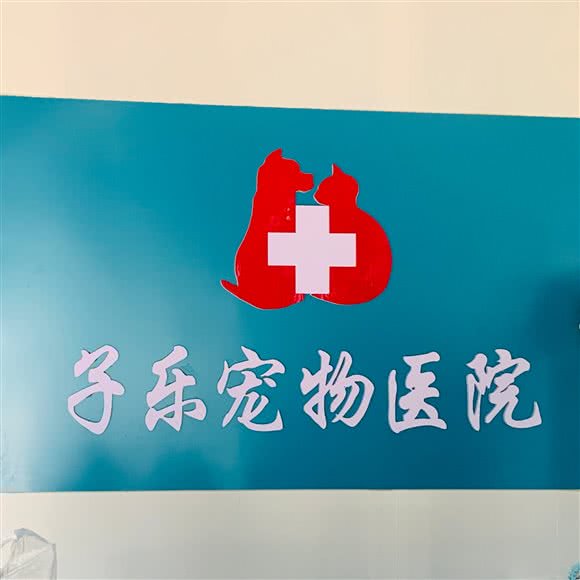 子乐宠物医院:烟台市开发区