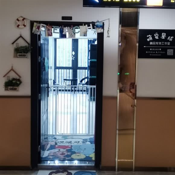 萌宠星球精品宠物工作室:郑州市高新区