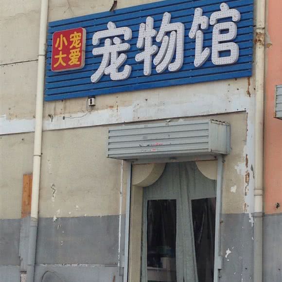 小宠大爱宠物馆:郑州市高新区