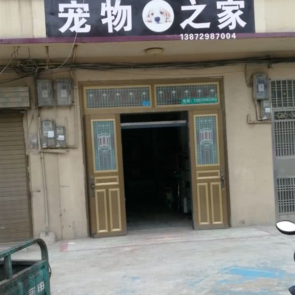 宠物之家:仙桃市城区