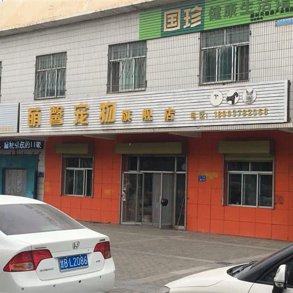 萌馨宠物旗舰店:嘉峪关市长城区
