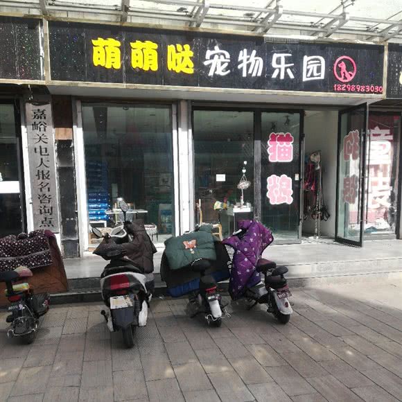 萌萌哒宠物乐园:嘉峪关市镜铁区