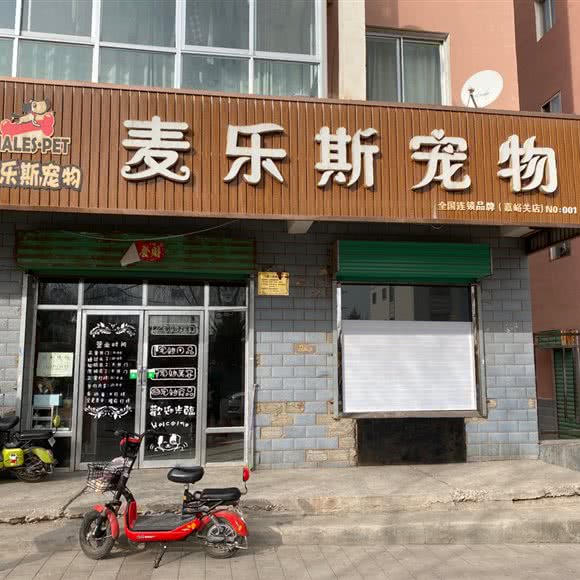 麦乐斯宠物(嘉峪关店):嘉峪关市镜铁区