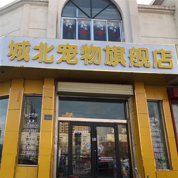 城北宠物旗舰店:嘉峪关市雄关区