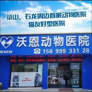 沃恩动物医院:东莞市石龙镇