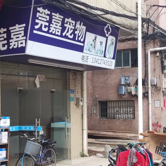 莞嘉宠物:东莞市南城街道