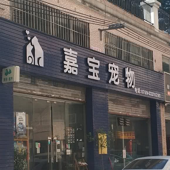 嘉宝宠物:东莞市东城街道