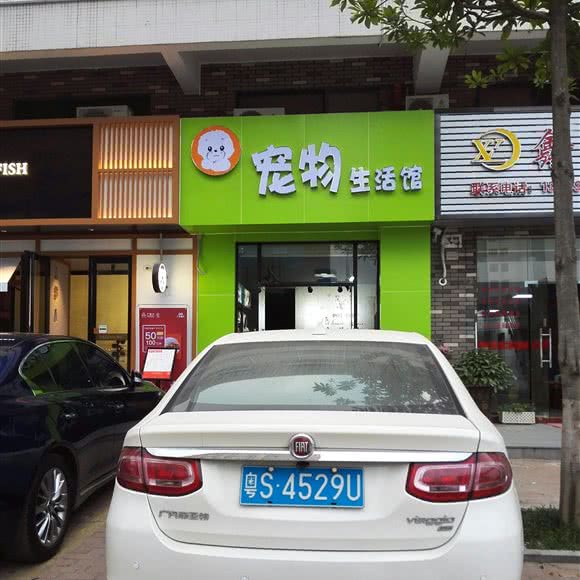 爱宠坊宠物:东莞市樟木头镇