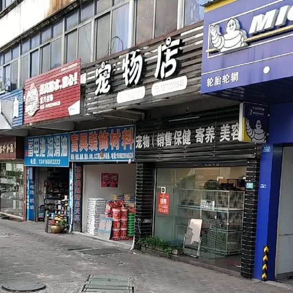 小资宠物店:东莞市万江街道