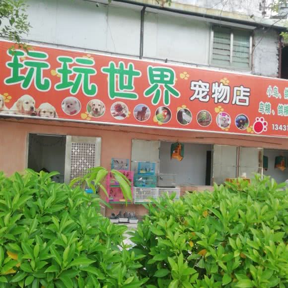 玩玩世界宠物店:东莞市常平镇