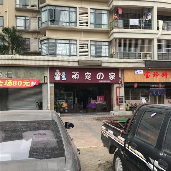 萌宠之家:东莞市虎门镇