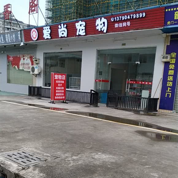 爱尚宠物:东莞市虎门镇