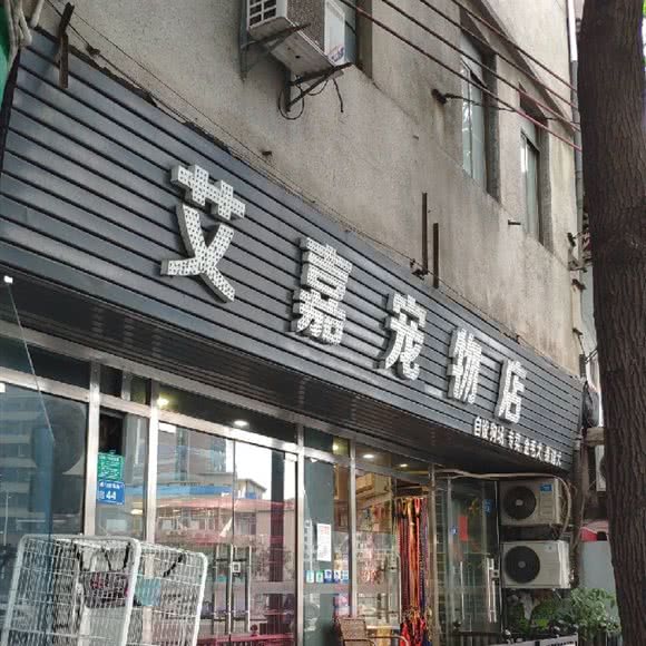 艾嘉宠物(解放店):东莞市虎门镇