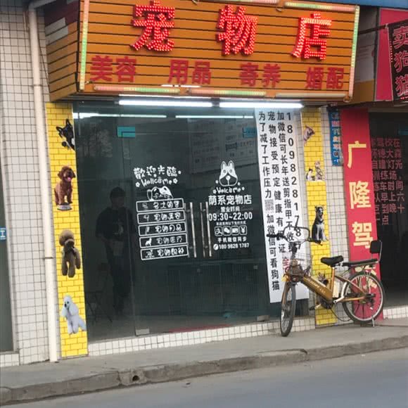 荫系宠物店:东莞市虎门镇