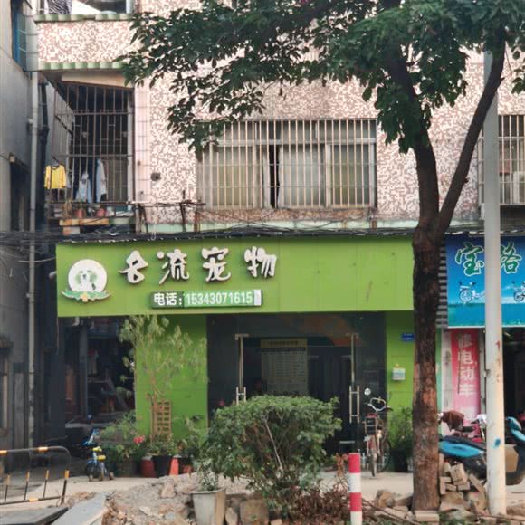 名流宠物:东莞市凤岗镇