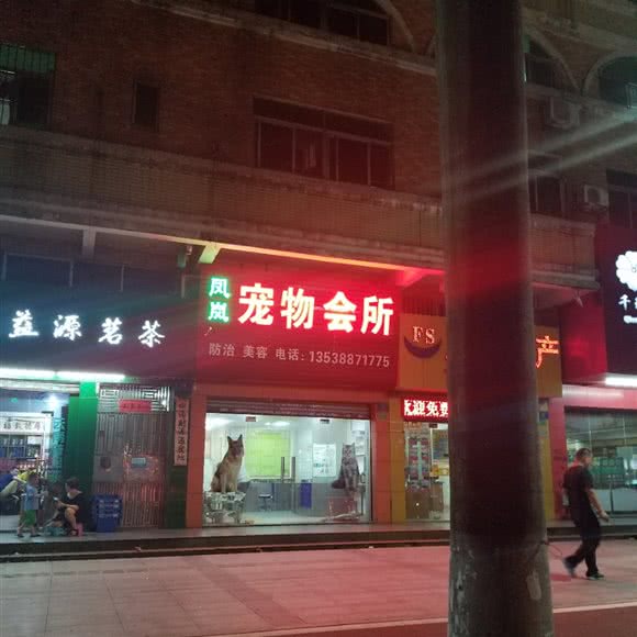 凤岚宠物会所:东莞市凤岗镇
