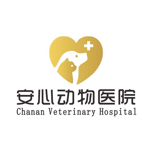 安心动物医院:东莞市长安镇