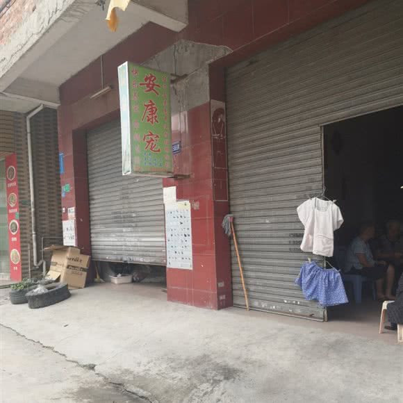 安康宠:东莞市厚街镇