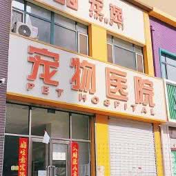 宠逸宠物医院:沈阳市浑南区浑南新区附近