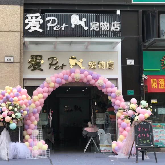 爱pet宠物店:东莞市大朗镇