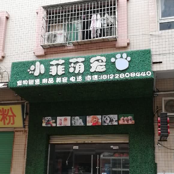 小菲萌宠:东莞市大朗镇