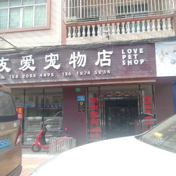 友爱宠物:东莞市大朗镇