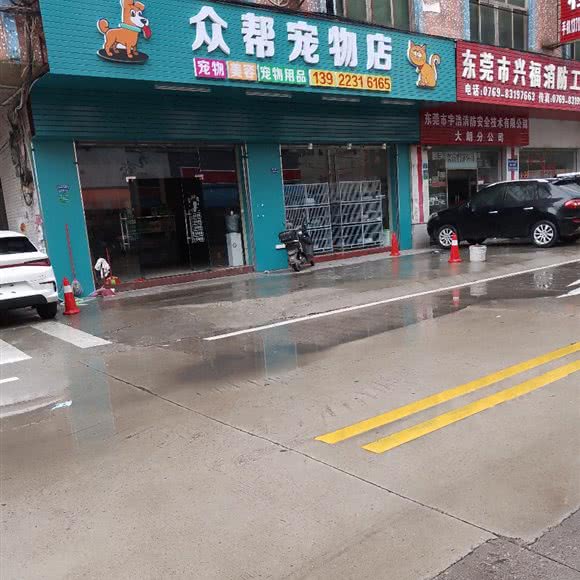 众帮宠物狗:东莞市大朗镇