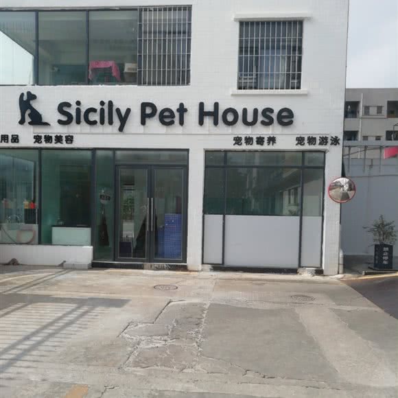 Sicily Pet House:东莞市大朗镇