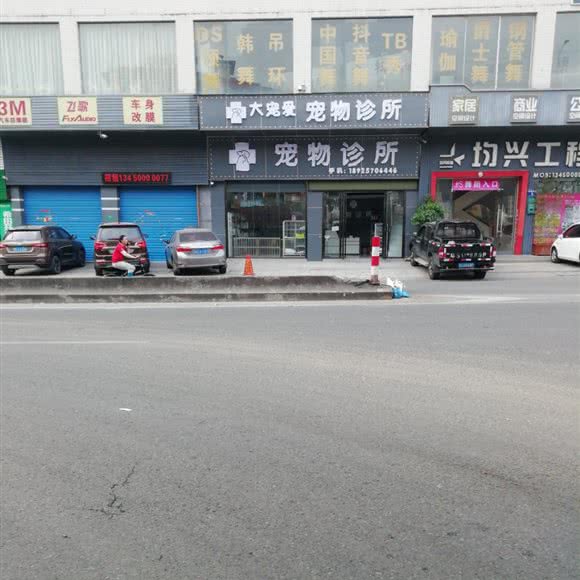 大宠爱宠物诊所:东莞市大朗镇