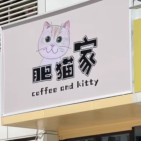 肥猫家猫咖·萌宠售卖:沈阳市浑南区浑南新区附近