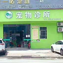 犬心犬意宠物诊所:东莞市大朗镇