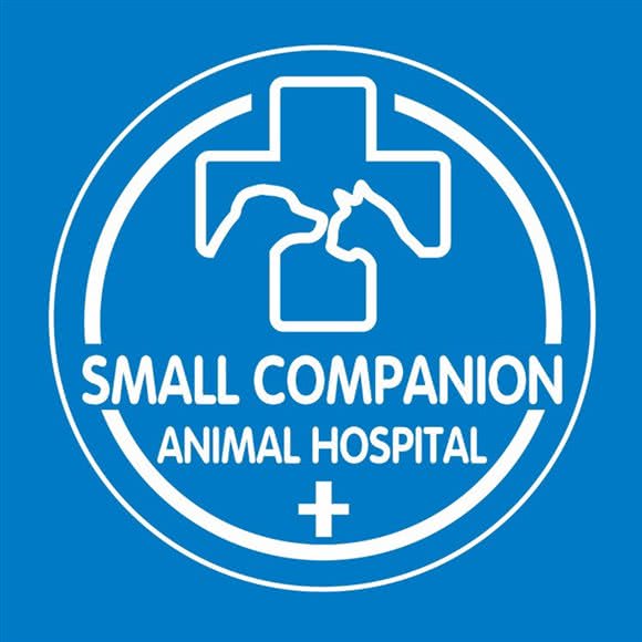 小伴侣宠物诊所(松山湖分院):东莞市大朗镇