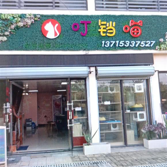 叮铛喵猫咪生活馆:东莞市黄江镇