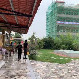 KK宠物俱乐部:东莞市大岭山镇