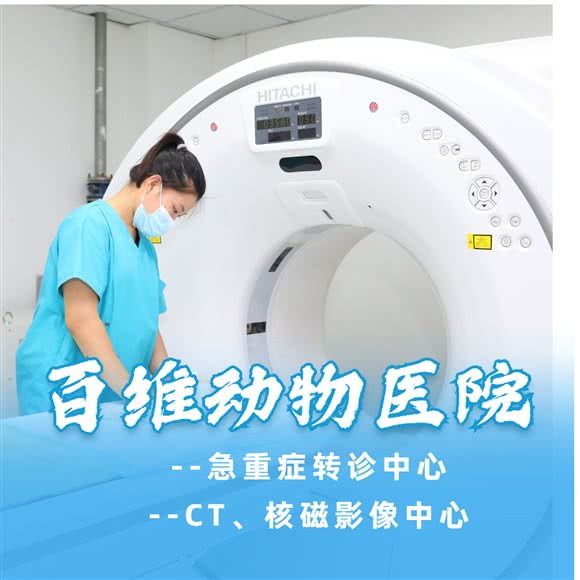 百维动物医院·急重症转诊中心:沈阳市浑南区浑南新区附近