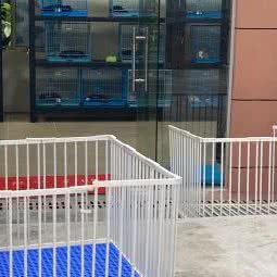 臻宠汇宠物乐园(总店):东莞市塘厦镇