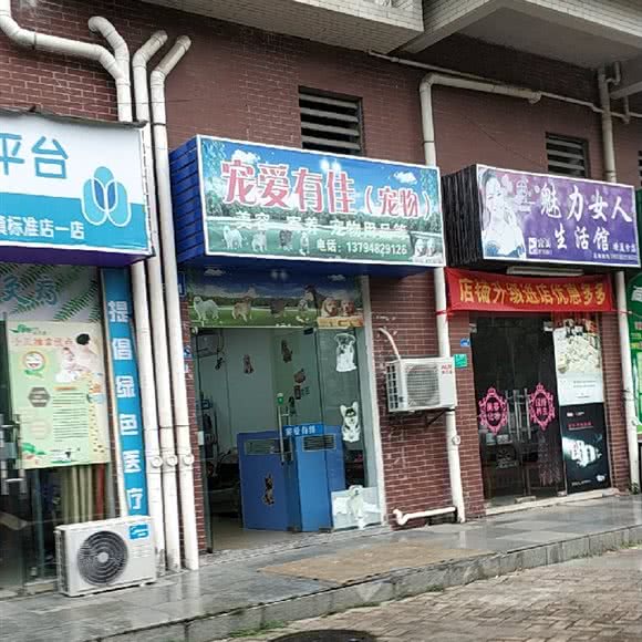 宠爱有佳:东莞市塘厦镇