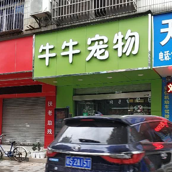 牛牛宠物:东莞市塘厦镇