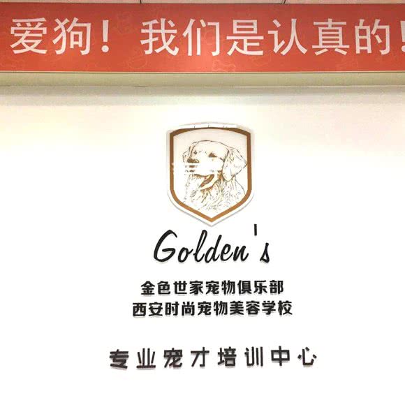金色世家宠物训犬(东莞塘厦店):东莞市塘厦镇